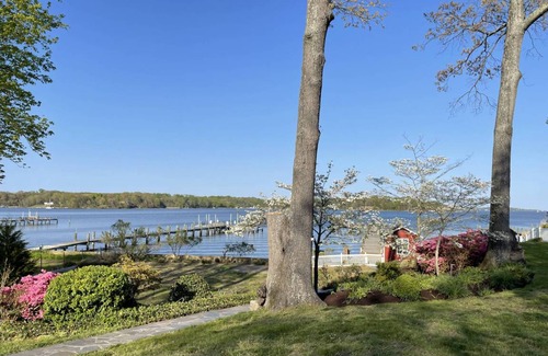 Severna Park Cottage | 52 m² Cabin ∙ 1 bedroom ∙ 2 guests