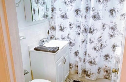 St. Louis Apartment | (53.1N) Walk to Forest Park in Comfort!