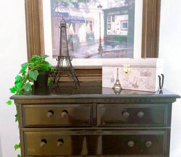 St. Louis Apartment | (53.1N) Walk to Forest Park in Comfort!