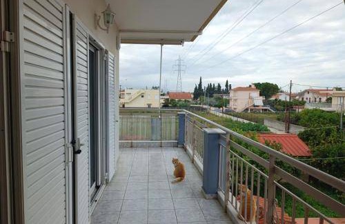 Kato Assos House | 53 m² House ∙ 1 bedroom ∙ 5 guests
