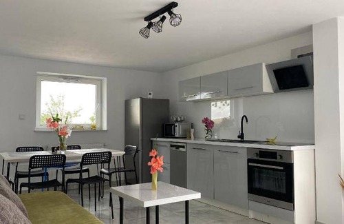 gmina Chełmiec Apartment | 54 m² Apartment ∙ 3 bedrooms ∙ 8 guests