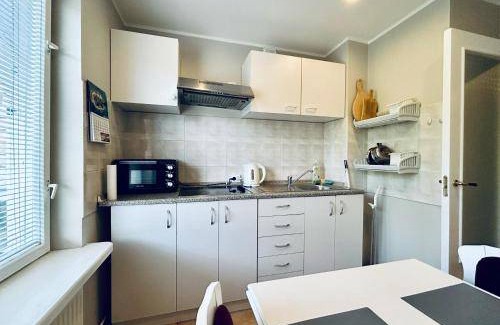 Zemgale Suburb Apartment | 54 m² Apartment ∙ 1 bedroom ∙ 4 guests