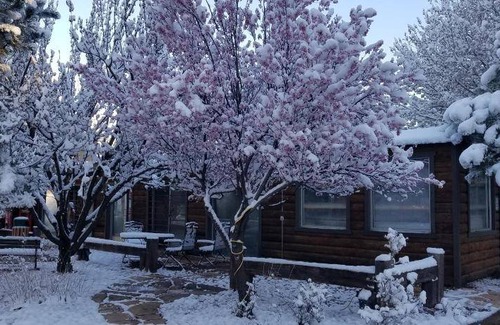 Ruidoso Cabin | 54 m² Lodge ∙ 2 bedrooms ∙ 4 guests