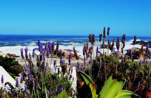 Lambert's Bay House | 54 On Strand