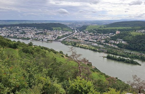 Mainz-Bingen Apartment | 55 m² Apartment ∙ 1 bedroom ∙ 2 guests