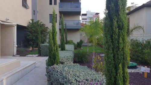 Rehovot Apartment | 55 m² Apartment ∙ 2 bedrooms ∙ 2 guests