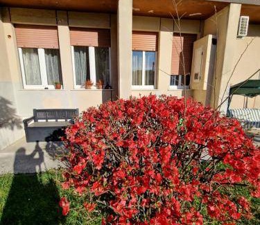 Gorizia Apartment | 55 m² Apartment ∙ 2 bedrooms ∙ 4 guests