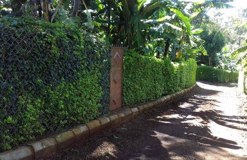 Marangu House | 55 m² House ∙ 2 bedrooms ∙ 4 guests