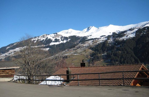 Lenk Apartment | 56 m² Apartment ∙ 2 bedrooms ∙ 5 guests