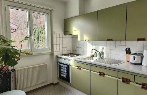 Unterseen Apartment | 56 m² Apartment ∙ 2 bedrooms ∙ 4 guests