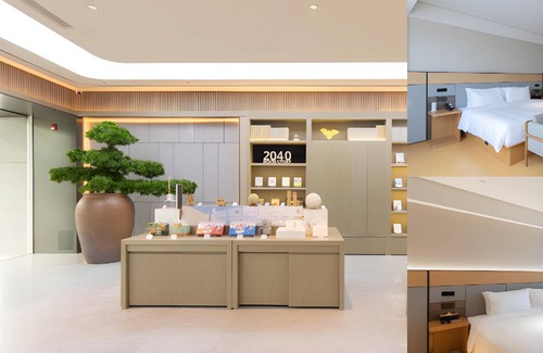 Liaocheng Hotel | 56 m² Hotel ∙ 2 guests