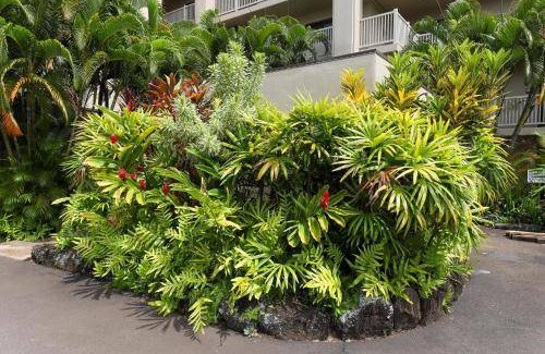 Poipu Apartment | 59 m² Apartment ∙ 1 bedroom ∙ 4 guests