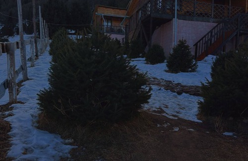 Chunkurchak House | 6-bedroom country house in beautiful Bishkek with AC, WiFi