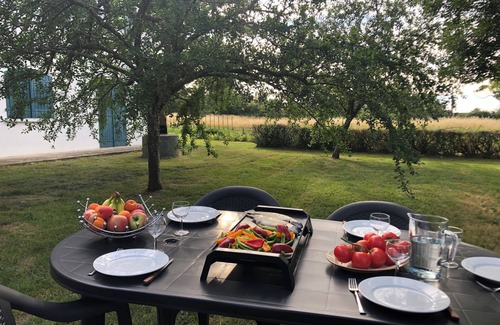 Lavaur House | 6-person gîte in 3-bedroom country house, shady garden, secure parking.