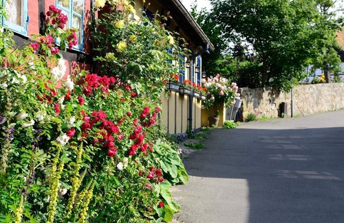Allinge House | 6 Person Holiday Home in Allinge