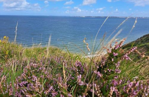 Remmer Strand House | 6 person holiday home in Struer-By Traum