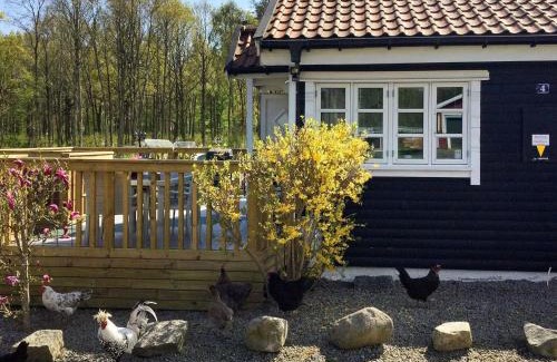 Mollebjorke House | 6 person holiday home in SÖLVESBORG