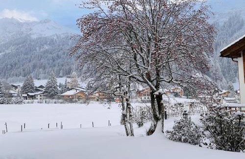 Klosters-Serneus Apartment | 60 m² Apartment ∙ 1 bedroom ∙ 4 guests