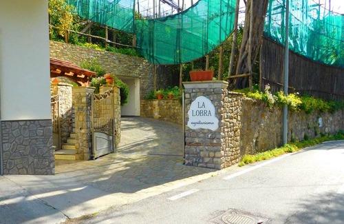Massa Lubrense Apartment | 60 m² Apartment ∙ 5 guests