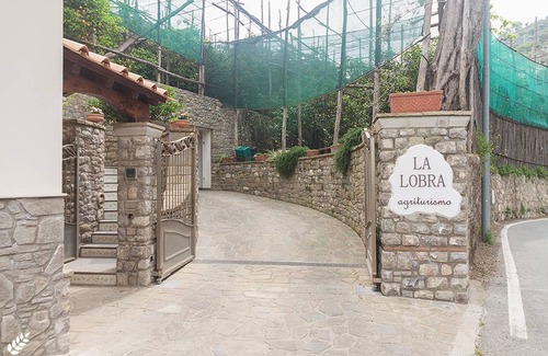 Massa Lubrense Apartment | 60 m² Apartment ∙ 5 guests