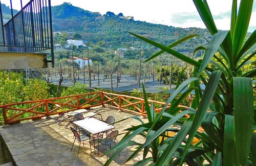 Massa Lubrense Apartment | 60 m² Apartment ∙ 5 guests