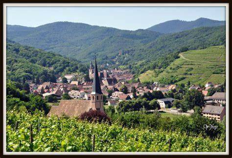 Andlau Apartment | 60 m² Apartment ∙ 1 bedroom ∙ 2 guests
