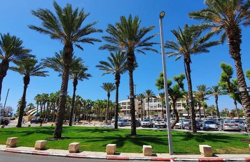 Herzliya Pituach Apartment | 60 m² Apartment ∙ 2 bedrooms ∙ 4 guests