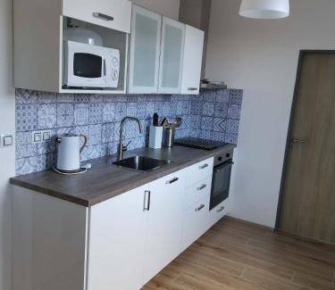 Hartmanice Apartment | 60 m² Apartment ∙ 1 bedroom ∙ 4 guests