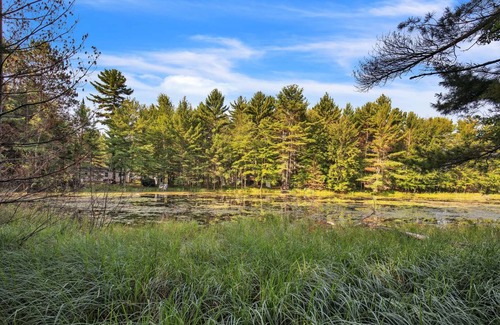 Hazelhurst Cabin | 60 m² Cabin ∙ 2 bedrooms ∙ 5 guests