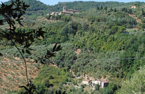 Pescia House | 60 m² House ∙ 1 bedroom ∙ 3 guests