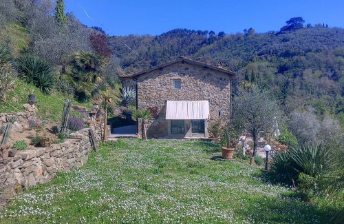 Pescia House | 60 m² House ∙ 1 bedroom ∙ 3 guests