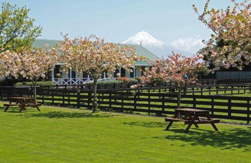 Hawera Hotel | 60 m² Motel ∙ 2 bedrooms ∙ 6 guests