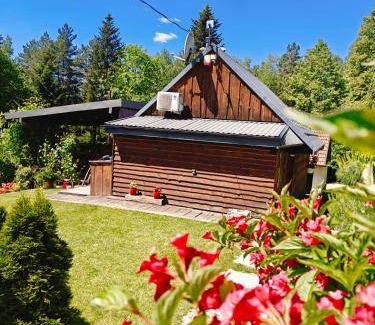 Kamionka Wielka Cabin | 60 m² Lodge ∙ 2 bedrooms ∙ 6 guests