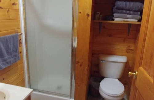 Blodgett Mills Cabin | 600 Sq. ft Cabin with King Size Bed - Quiet Location, Close to Skiing