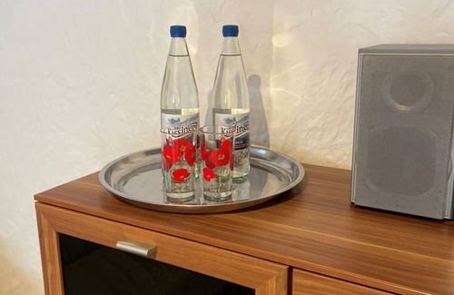 Pressath Apartment | 62 m² Apartment ∙ 1 bedroom ∙ 3 guests
