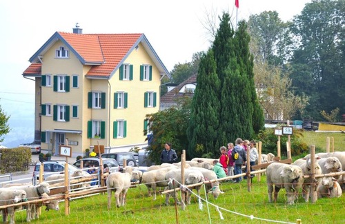 Wolfhalden Apartment | 62 m² Apartment ∙ 2 bedrooms ∙ 4 guests