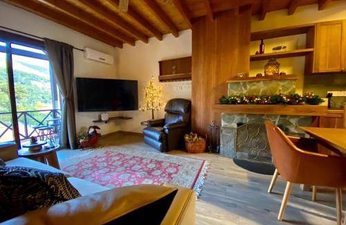 Platres Apartment | 63 m² Apartment ∙ 2 bedrooms ∙ 5 guests