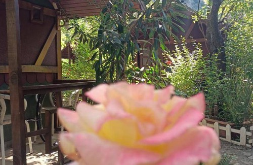 Olympos Apartment | 65 m² Apartment ∙ 10 guests