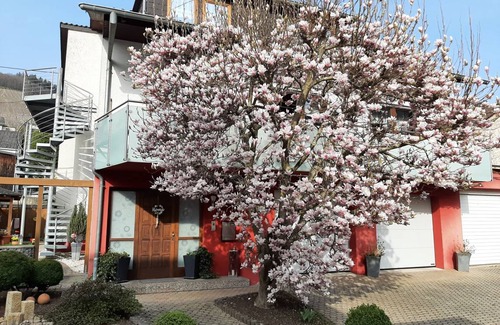 Ockfen Apartment | 65 m² Apartment ∙ 1 bedroom ∙ 2 guests