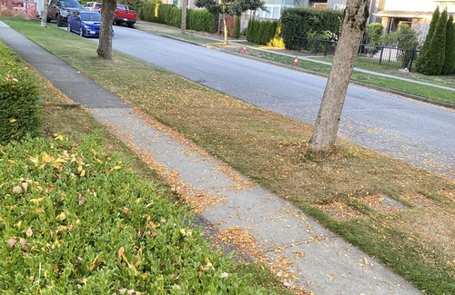 Marpole Villa | 650-Sf private entrance cozy near airport-Marine Gateway, Langara, UBC downtown