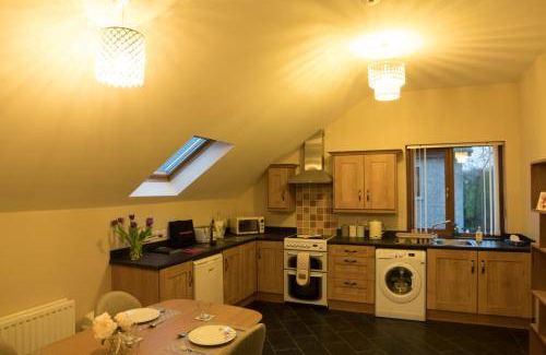 Magherafelt Apartment | 66 m² Apartment ∙ 1 bedroom ∙ 4 guests