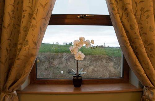 Magherafelt Apartment | 66 m² Apartment ∙ 1 bedroom ∙ 4 guests