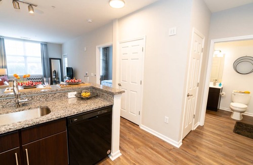 Shelton Apartment | 67 m² Apartment ∙ 1 bedroom ∙ 1 guest