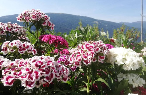 Murau Apartment | 67 m² Apartment ∙ 2 bedrooms ∙ 4 guests