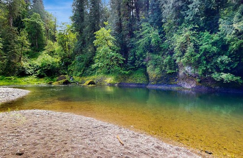 Washougal Cottage | 67 m² Cabin ∙ 1 bedroom ∙ 5 guests