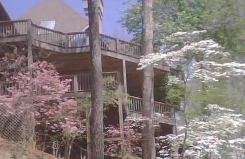 Big Canoe House | 6BR premier property w/seasonal Golf Course & SwimLake views;quarantine friendly