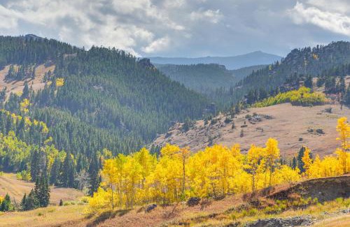 Dayton House | 7 Mi to Bighorn Natl Forest Dog-Friendly Home