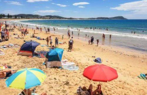 Terrigal Apartment | 70 m² Apartment ∙ 1 bedroom ∙ 2 guests