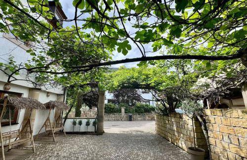 Deidesheim Apartment | 70 m² Apartment ∙ 1 bedroom ∙ 4 guests