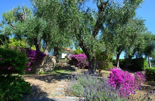 Imperia House | 70 m² House ∙ 1 bedroom ∙ 3 guests